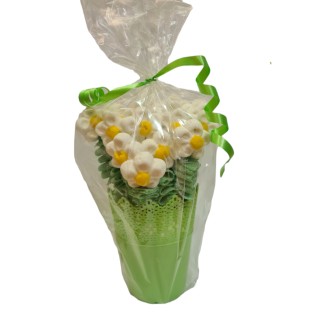 green plastic planter with daisies